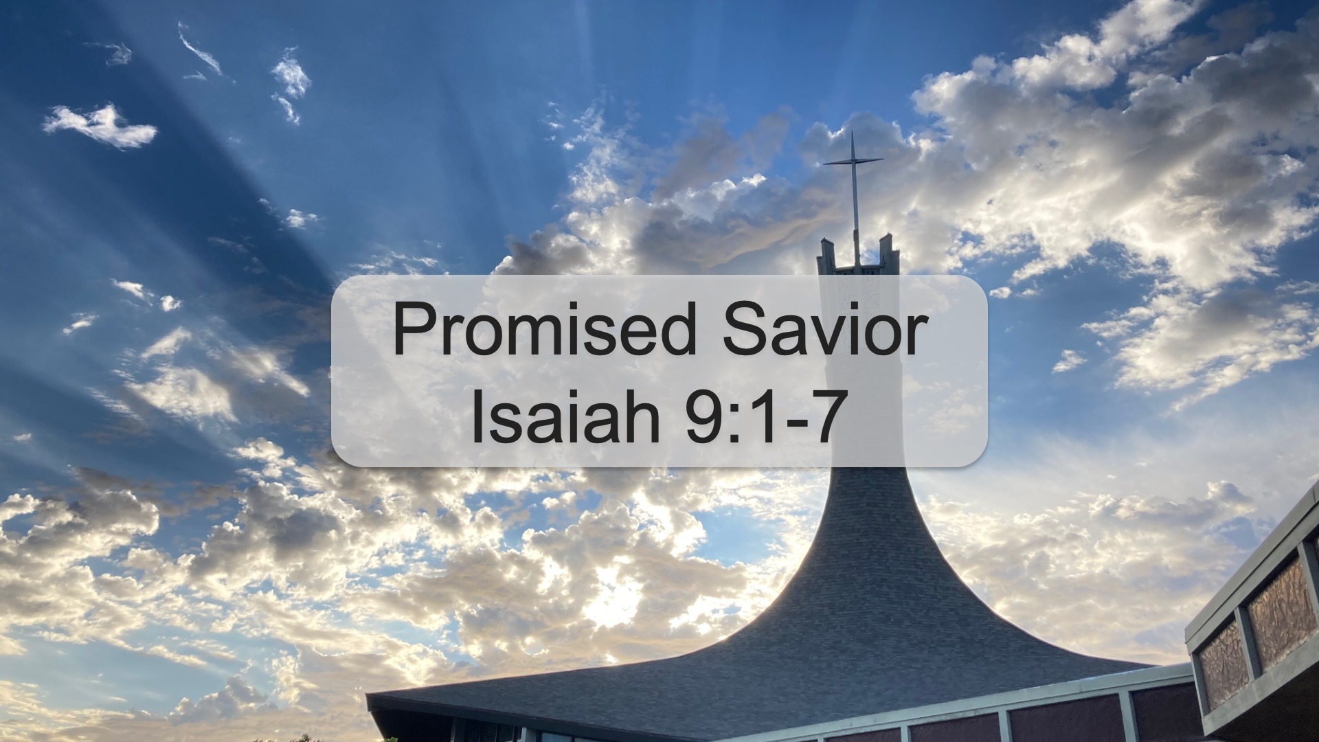 Promised Savior